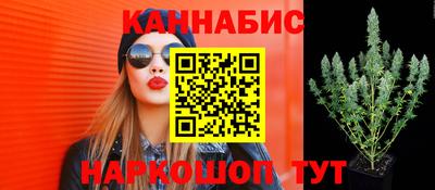 спайс Гусь-Хрустальный