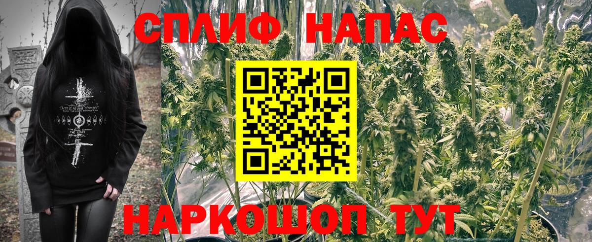 Конопля сатива  Вход с VPN  Бошки марихуана SATIVA & INDICA  Миллерово 